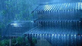 (No Ads) Powerful Thunderstorm Rain on Tin Roof 🌧️ Calming Sounds for Deep Stress Relief