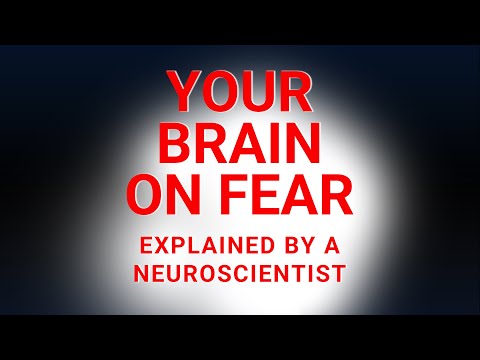 How Fear Works in the Brain – Andrew Huberman Explains