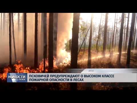 07.06.2019 / Псковичей предупреждают о высоком классе пожарной опасности в лесах