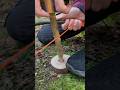 Survival Skills 🤯 Fire without matches  #survival #outdoors #bushcraft #asmr #livehacks #forest
