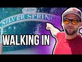 Walking In Silver Springs State Park Chris Mendoza