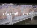 Dhrumil Nancy Mangalmuhuratphotography