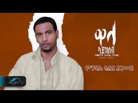 Temesgen Gebreselassie  - Taniqo - Mgudal Abyu Tsegemey - ምጉዳል ኣብዩ ጸገመይ - Eritrean Music - Audio