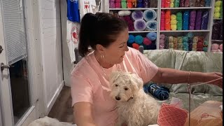 03/08/26 1. “Frogging Frenzy in the Yarn Cabin 🐸🧶”