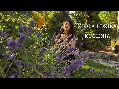 Jak zacząć przygodę z ziołami | Zielnik, suszenie, dzika kuchnia