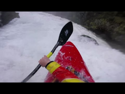 Little White at 5.5ft!