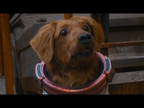 Guardians of the Galaxy Vol. 3 but only Cosmo the Spacedog