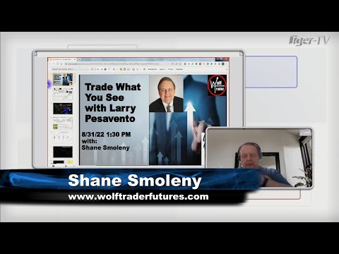 August 31st, Trade What You See with Larry Pesavento on TFNN - 2022