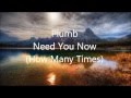 Plumb - Need you now (How Many Times ...