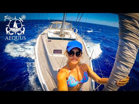 Dodging Lobster Pots (and boat humping Whales!) 🤣 we sail to Dominican Republic | Aequus Ep.11