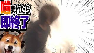 噛まれたら即終了 バイオハザードRE:4 / part428