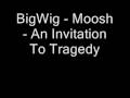 BigWig - Moosh 