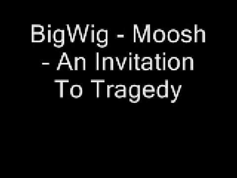 BigWig - Moosh