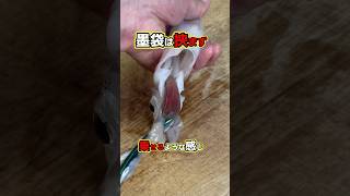30秒でマスター！【フォーセップで超簡単】ケンサキイカの墨抜き
