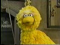 Classic Sesame Street A Day With Books