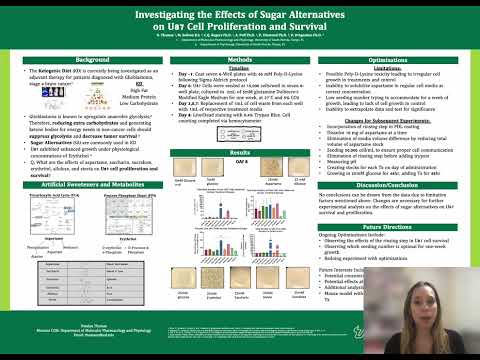 Investigating the Effects of Sugar Alternatives on U87  Cell Proliferation and Survival