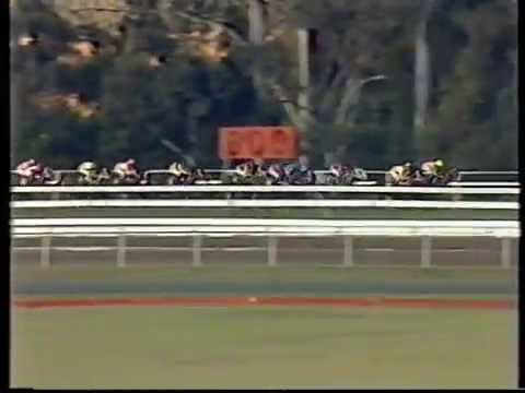 1988 Silver Shadow Stakes - Startling Lass