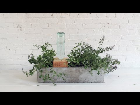 Blumenkasten auf Beton - inklusive Bewässerung
