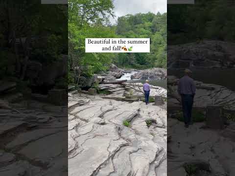 youtube embeded image
