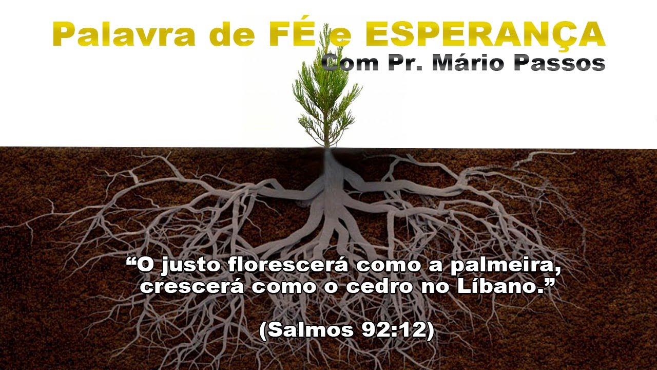 Salmos 92:12 "O justo florescerá como a palmeira, crescerá como o cedro no Líbano."