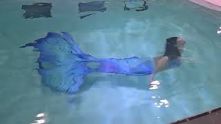 Download lagu 20250618 140042 富桂園水中攝影，藍孔雀美人魚 mp3