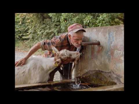 Boyieta   Abiro gi diel achiel- Evance Texas