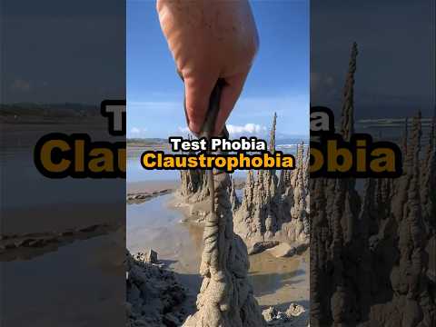 Test your phobia - Claustrophobia 😱