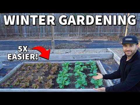 5 Reasons Why Winter Gardening Is BETTER Than Summer Gardening!