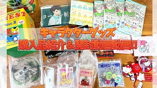キャラクターグッズ購入品紹介＆開封動画！