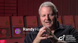 Advancements in The Randy Hare Method of Detection Training Detection 5