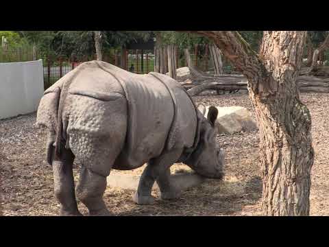 Dierenrijk Nuenen 12-07-2020