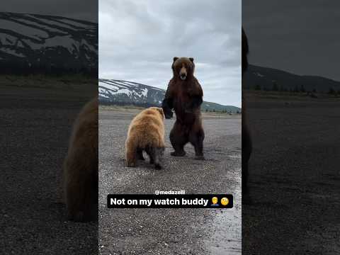 I’m Glad I Was There To Help 💔