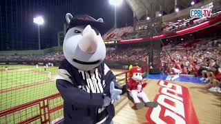 [閒聊] 柳條超過大義了嗎?