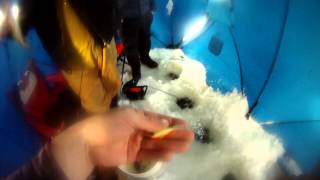 preview picture of video 'Richard and Pedro December 29th 2012 Lake Nosbonsing Ice Fishing 001.MP4'