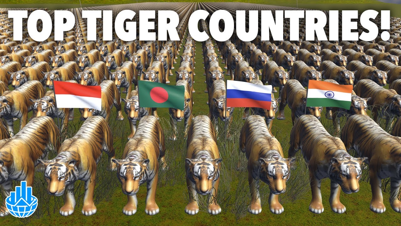 Tiger Population by Country 2025 (You’ll Be Surprised!)