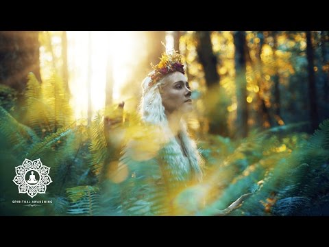 Relaxing Pagan Music 🌾1 hour of Fantasy Music for Relaxation & Meditation | Celtic Ambient Music 🌾