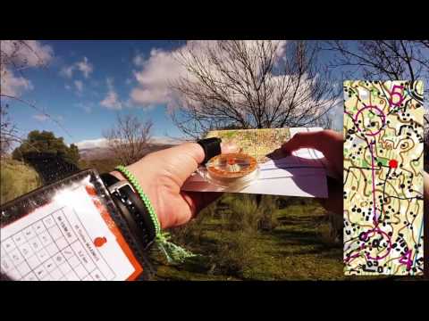 Distancia Media M-16