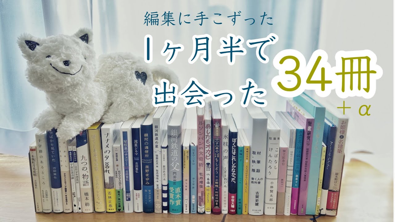 購入本紹介｜1ヶ月半で34冊おむかえしてました。