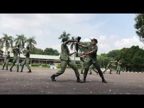download lagu mp3 mp4 Pds 2017, download lagu Pds 2017 gratis, unduh video klip Pds 2017