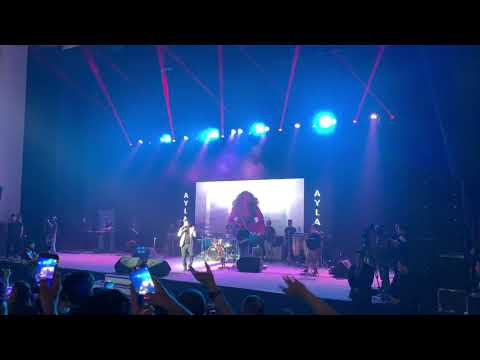 Navid Zardi - Ayla - Live concert