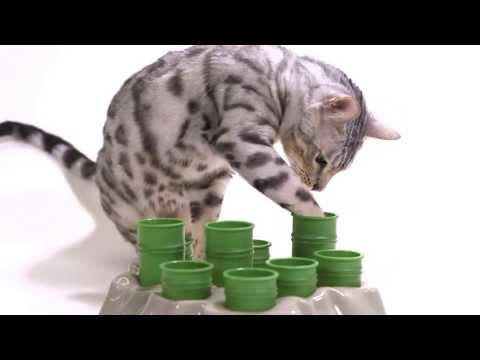 Aikiou Stimulo Activity Food Center for Cats  - Gray/Green (11.5" x 11" x 2") Video