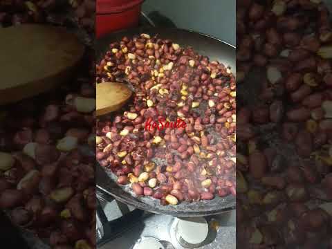 KaSaut neNzungu