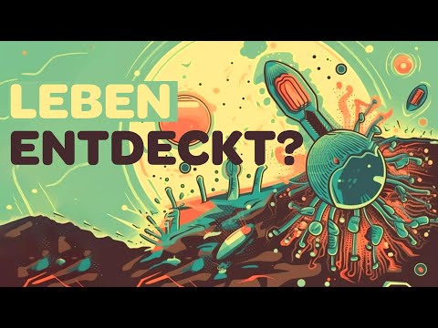 Forscher: „Wir entdecken organisches auf einem Meteoriten“