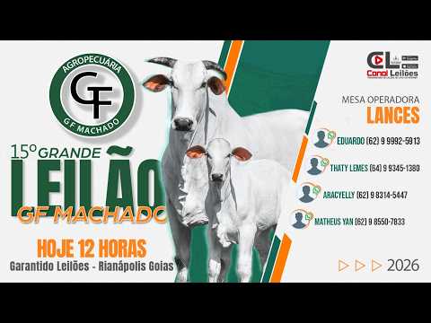 Canalleilões.com | 15º GRANDE LEILÃO DA AGROPECUÁRIA GF MACHADO - JARAGUÁ - GO | 31/05/2026