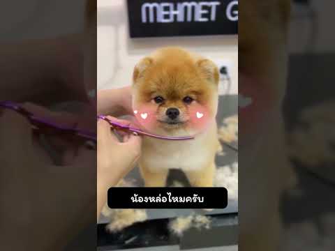 น้องหล่อไหมครับ