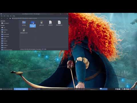 ArcoLinux : 723 the creation of ArcoLinuxB Deepin Minimal