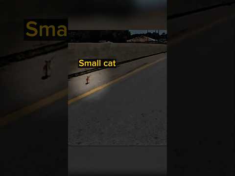 Biker Helps Kitten On The Road Then Adopts It