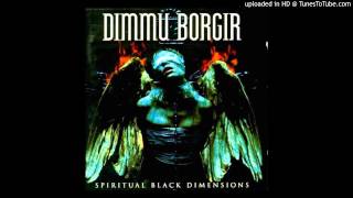 Dimmu Borgir -  Arcane Lifeforce Mysteria