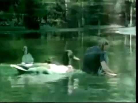 download lagu mp3 mp4 Album Musical, download lagu Album Musical gratis, unduh video klip Album Musical