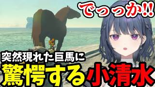 【 ゼルダの伝説 ティアーズ オブ ザ キングダム#15】突然現れた巨馬に驚愕する小清水【小清水 透切り抜き】※ネタバレあり